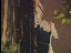 Thumbnail 18