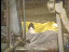 Thumbnail 22