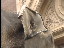 Thumbnail 23