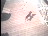 Thumbnail 43