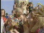 Thumbnail 30
