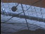 Thumbnail 61