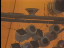 Thumbnail 63