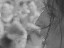 Thumbnail 27