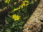 Thumbnail 58