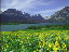 Thumbnail 25