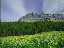 Thumbnail 26