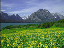 Thumbnail 27