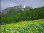 Thumbnail 28