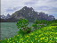Thumbnail 35