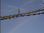 Thumbnail 36