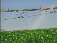Thumbnail 37