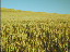 Thumbnail 54