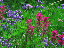 Thumbnail 25