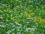Thumbnail 26
