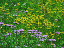 Thumbnail 27