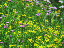 Thumbnail 28