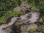 Thumbnail 32