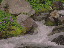 Thumbnail 33
