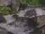 Thumbnail 34