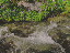 Thumbnail 35