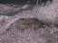 Thumbnail 36
