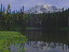 Thumbnail 45