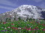 Thumbnail 46