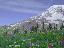 Thumbnail 47