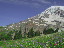 Thumbnail 48