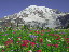 Thumbnail 50