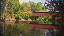 Thumbnail 50