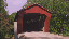Thumbnail 52