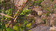 Thumbnail 57