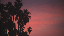 Thumbnail 60