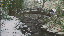 Thumbnail 27