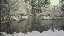Thumbnail 29