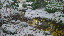 Thumbnail 33