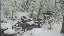 Thumbnail 37