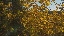 Thumbnail 31