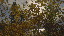 Thumbnail 32