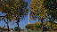 Thumbnail 27