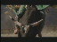 Thumbnail 36