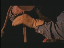 Thumbnail 22