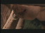 Thumbnail 44