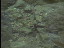 Thumbnail 22