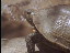 Thumbnail 25