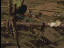 Thumbnail 26