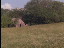 Thumbnail 38