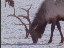 Thumbnail 17